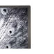 Courtship Charcoal Luxe Art